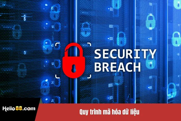 Quy trình mã hóa dữ liệu