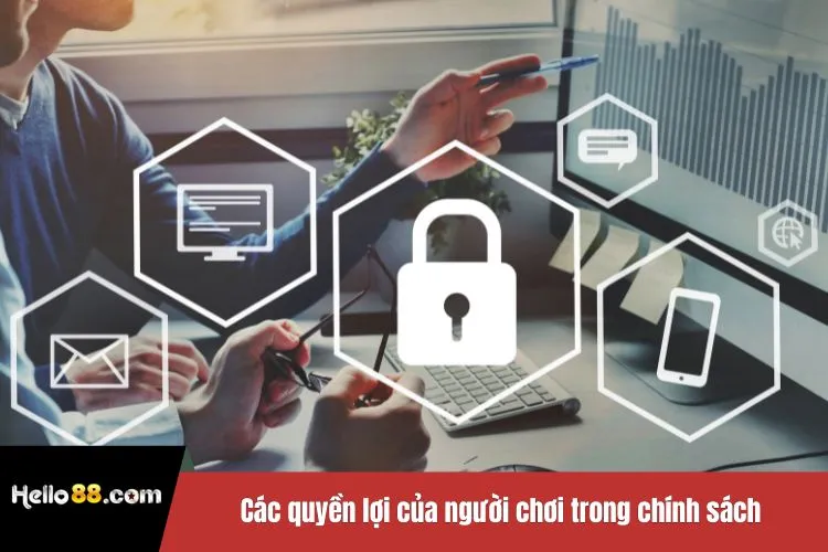 Các quyền lợi của người chơi trong chính sách