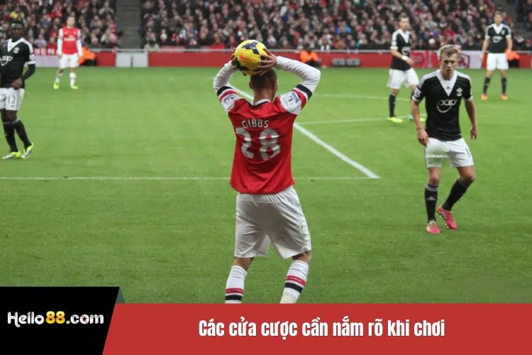 Các cửa cược cần nắm rõ khi chơi