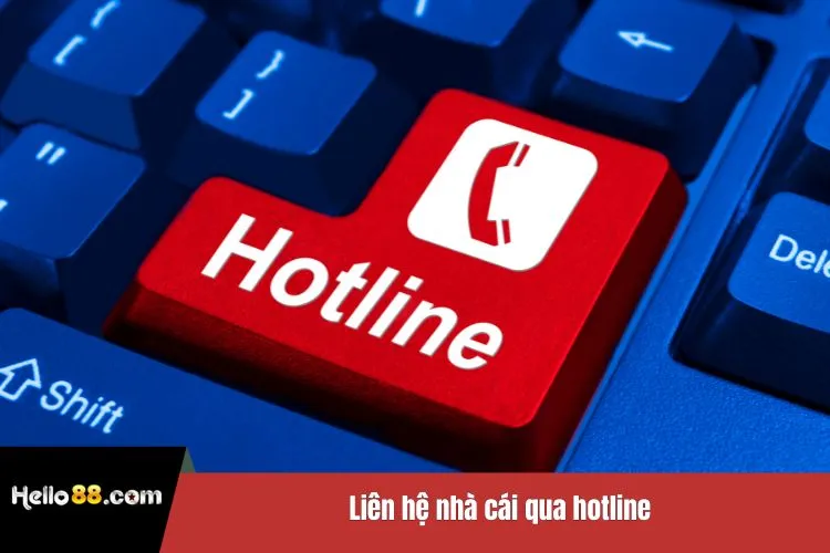 Liên hệ nhà cái qua hotline
