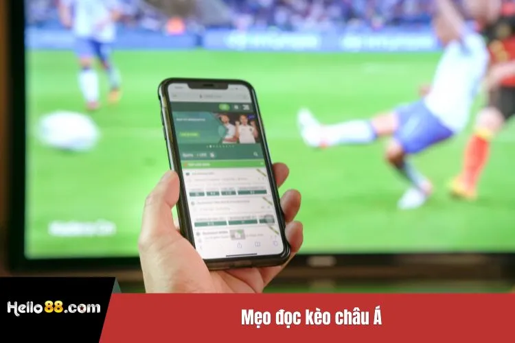 Mẹo đọc kèo châu Á