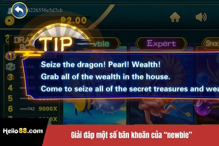 Giải đáp một số băn khoăn của “newbie” khi tham gia Hello88