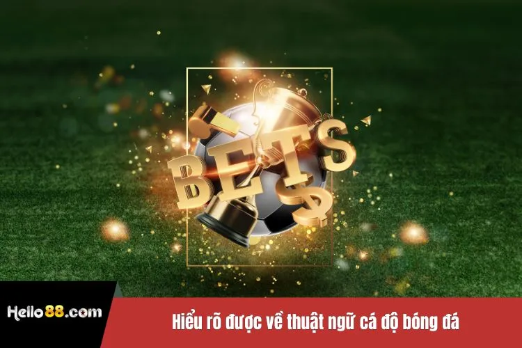 Hiểu rõ được về thuật ngữ cá độ bóng đá