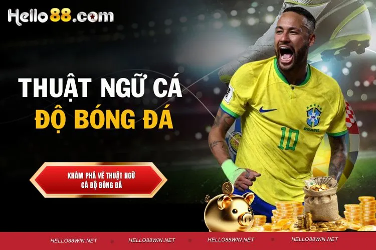 Thuật Ngữ Cá Độ Bóng Đá - Giải Mã Từ A Tới Z Cho Tân Thủ