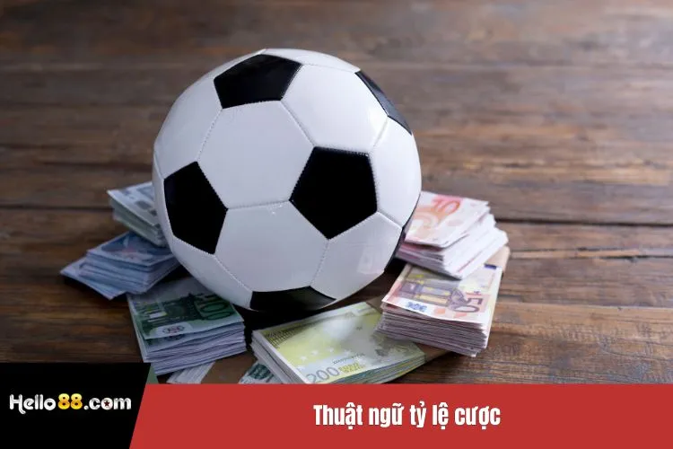 Thuật ngữ tỷ lệ cược